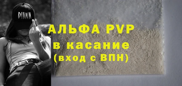 шишки Абаза