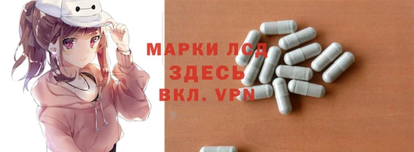 шишки Абаза