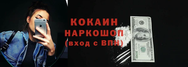 шишки Абаза