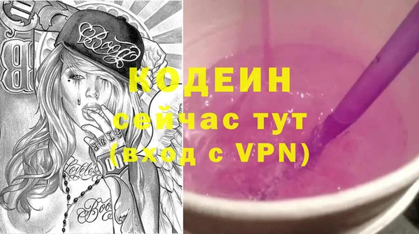 шишки Абаза
