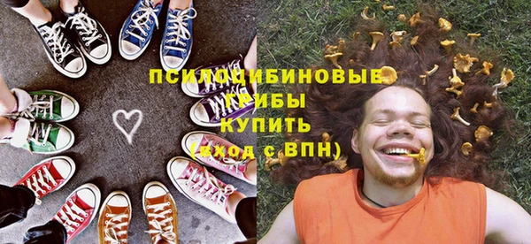 не бодяженный Няндома